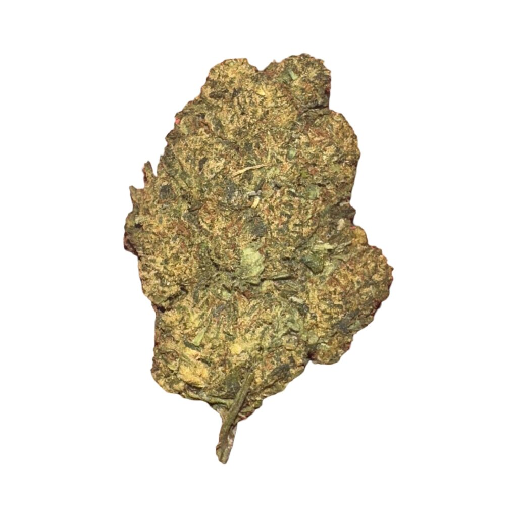 07373013 D161 4E97 A545 F06696180FEA