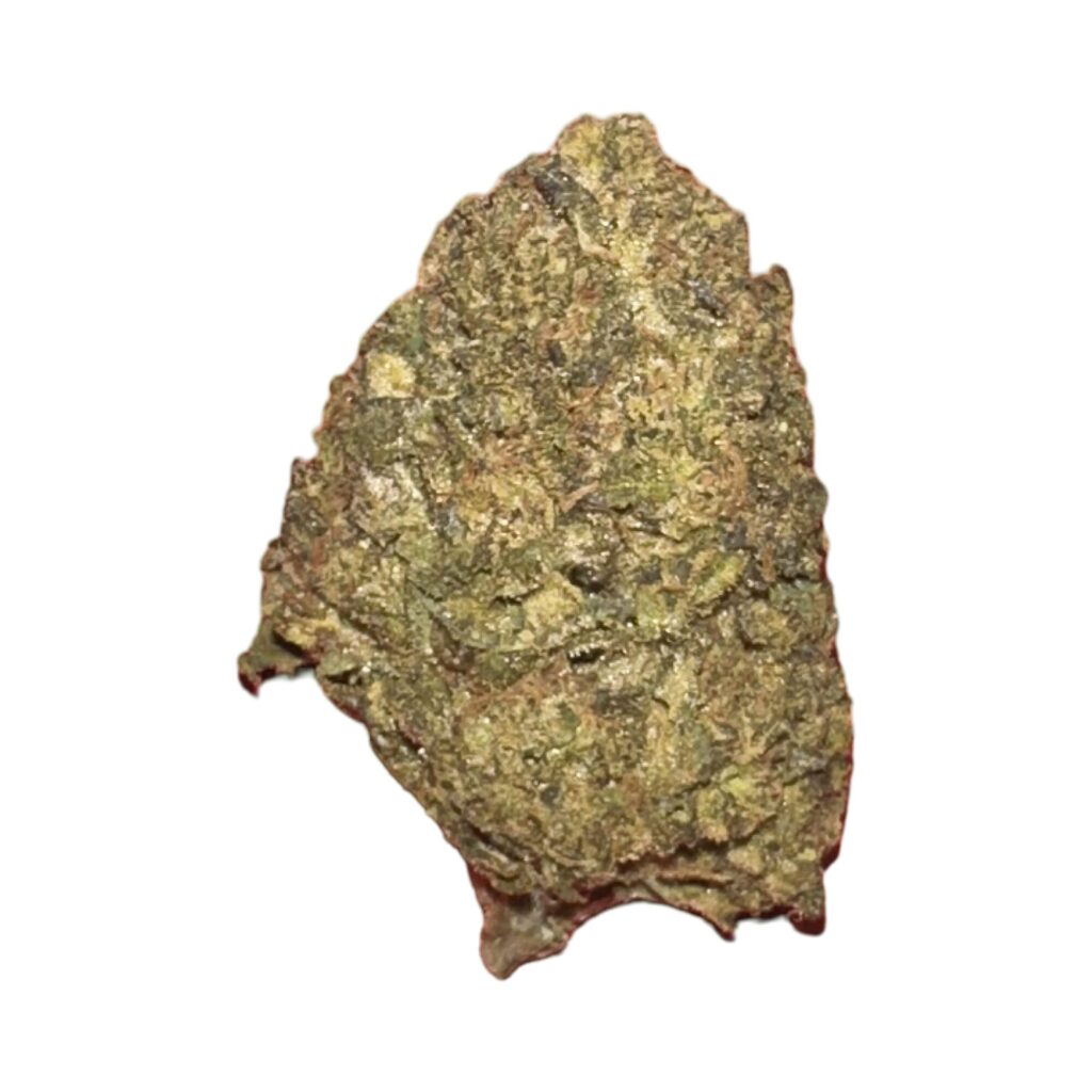 22979E03 6870 4E1E BA13 389E9447BBA2